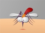 Komáří nálety hra online