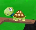 Příběh želvy hra online