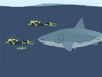 Bláznivý žralok hra online
