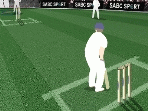 Kriket hra online